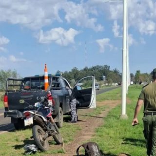 Detuvieron a un cazador furtivo armado en la Ruta 12
