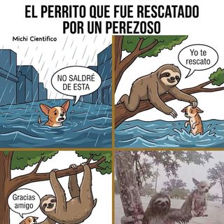Un perezoso rescató a un perro durante una inundación