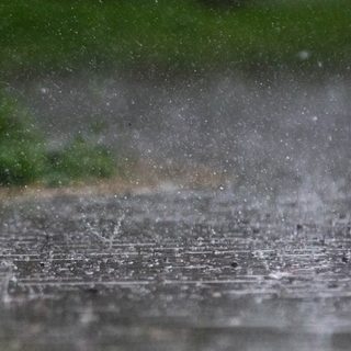 Foto: Александр Лич / Pexels