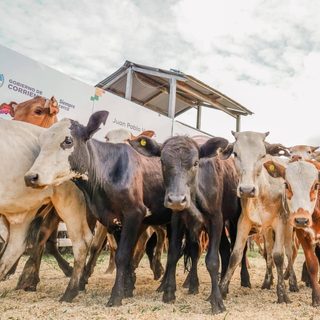 La Expo Rural de El Pombero sigue con su segunda jornada