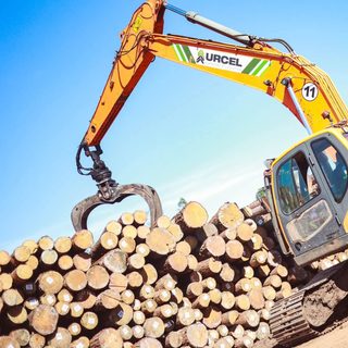Una empresa forestal de Santo Tomé exporta a India