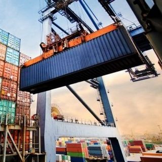 Corrientes exportó US$ 244 millones en ocho meses, con la madera al frente