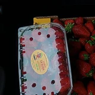 Cómo el compost transformó la producción de frutillas en Corrientes