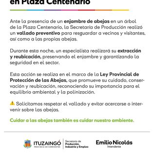 Vallan un sector de la Plaza Centenario por un enjambre de abejas