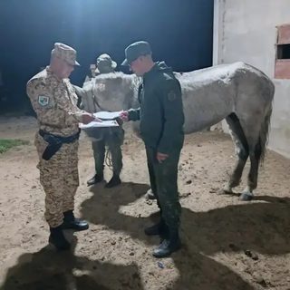 Hallan un caballo abandonado que sería de cuatreros en Ituzaingó