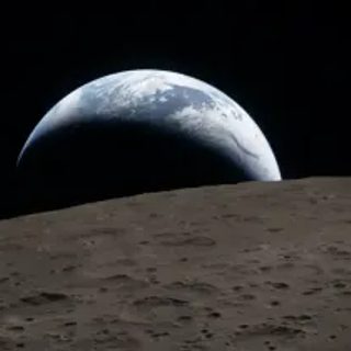 Un hongo terrestre podría sobrevivir en los polos lunares