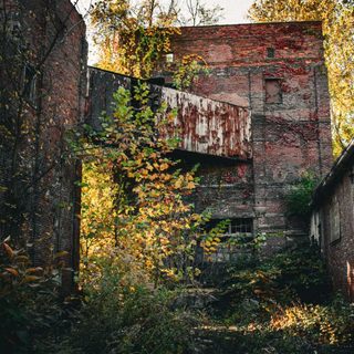 Foto: Kandice Boyd-Roberts / Pexels