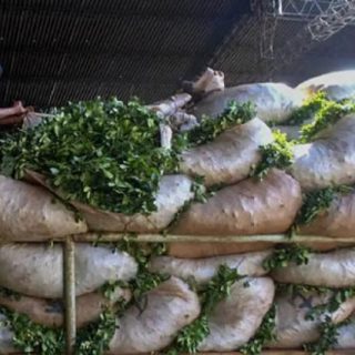 Corrientes crece en yerba mate, pero el productor pierde