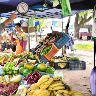 Ferias de la Ciudad: recorrido y horarios de la semana
