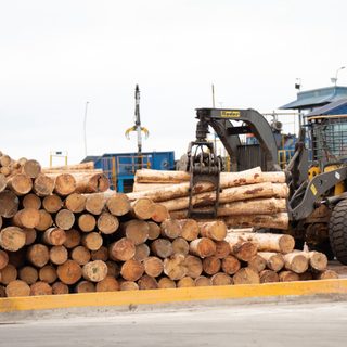 Zeni triplica su capacidad en la industria maderera de Esquina