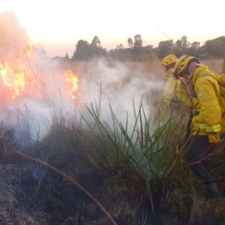 Incendios rurales rodearon seis casas en Santo Tomé