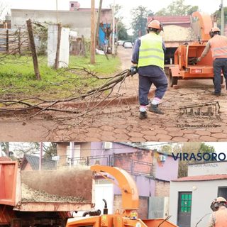 Virasoro procesa restos de poda con una chipeadora