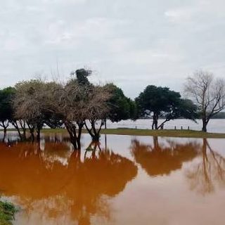 Santo Tomé, en alerta por la crecida del río Uruguay
