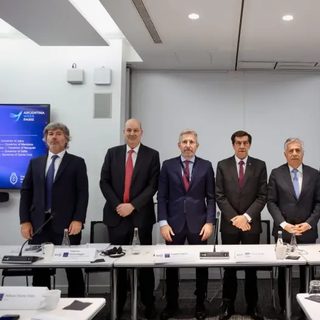 Valdés lleva a París la apuesta de Corrientes por la forestación y la yerba