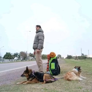Viaja a dedo a Corrientes con sus dos perros para empezar de nuevo