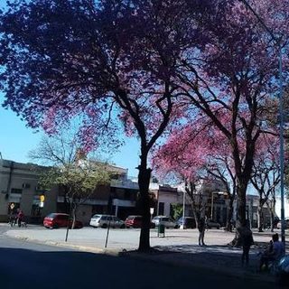 Operativo policial en Plaza Torrent por drogas