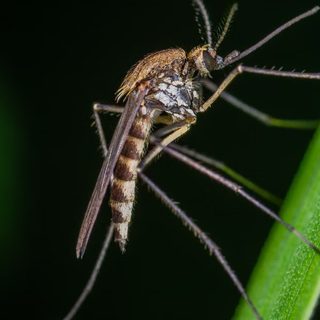 Foto: Egor Kamelev / Pexels