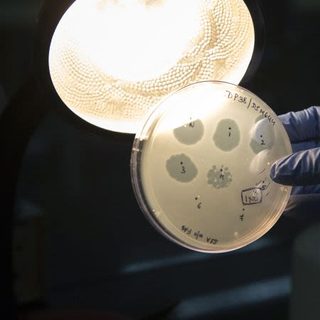 Una IA diseñó virus nuevos que vencen la resistencia a antibióticos