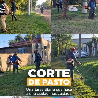 Continúan las tareas de corte de pasto en la ciudad