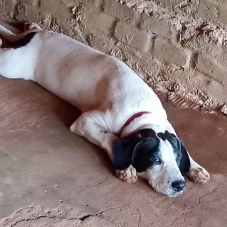 Buscan a Deisi, desaparecida en el barrio 202