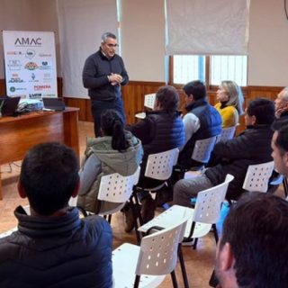 Madereras del noreste correntino, ahogadas por la luz