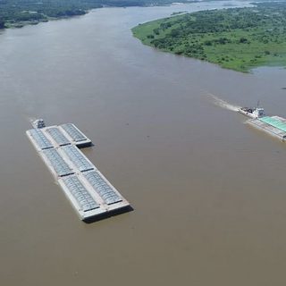 AFoA pide usar los ríos para abaratar la madera correntina