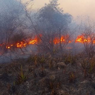 Incendios rurales en Santo Tomé amenazaron seis viviendas