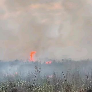 Controlan incendio en los barrios Iberá e Islas Malvinas