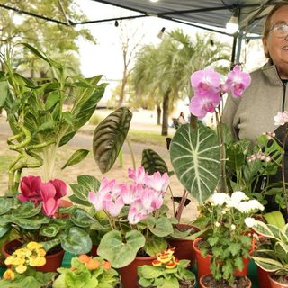 Ferias de la Ciudad : propuestas de emprendedores este fin de semana