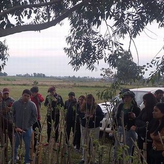 Alumnos agrotécnicos recorrieron una finca de pecán en Curuzú Cuatiá