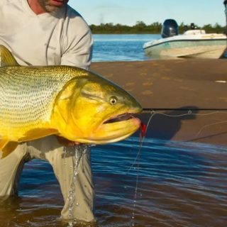 Corrientes levantó la veda extraordinaria sobre el río Paraná