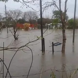 Temporal en Curuzú Cuatiá: anegamientos y árboles caídos