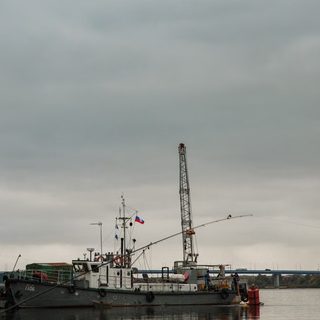 Foto: Konstantin Alexeevich / Pexels