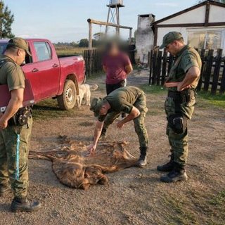 Detienen a un carnicero con casi 200 kilos de carne sin documentación