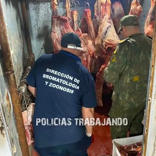 Secuestran costillar sin documentación en Virasoro