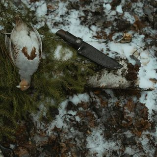 Foto: Tima Miroshnichenko / Pexels