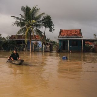 Foto: Long Bà Mùi / Pexels