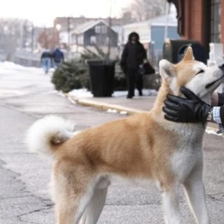 Miraflores inauguró un parque temático dedicado a Hachiko