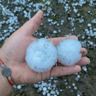 Una granizada mató animales y destrozó campos en el norte de Santa Fe