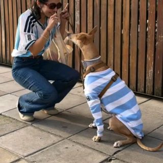 Rescató a una galga y hoy es influencer con marcas propias