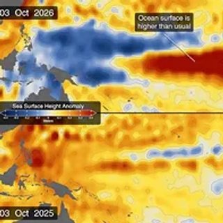 El Niño más intenso desde 1950: el Pacífico ya está 1,7 °C arriba del promedio