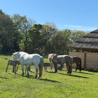 Ituzaingó tendrá un nuevo hipódromo frente al Paraná