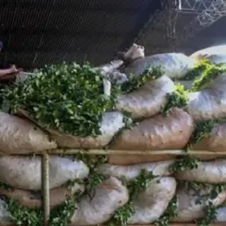 Corrientes gana terreno en la yerba, pero el productor pierde