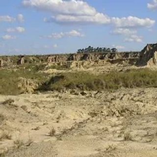 Encuentran en Corrientes un ñandú fósil de 65 mil años