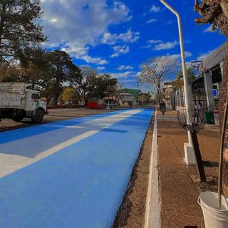 Ituzaingó: pintaron una avenida con los colores patrios