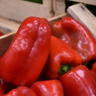 Suben la papa, la cebolla y el morrón en Corrientes