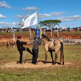 La doma este domingo en la Expo Rural Virasoro 2026