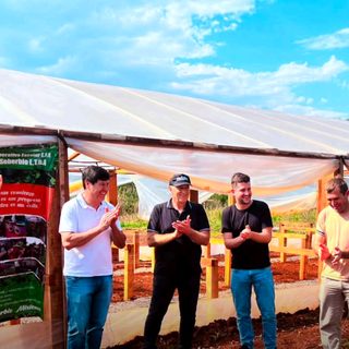 El Soberbio suma una plantinera con capacidad para 100 mil plantines