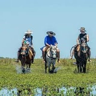 Reclamo para reabrir el Parque Iberá