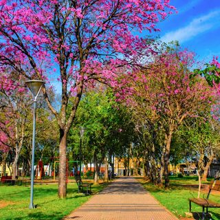 Santo Tomé prepara una semana de festejos por sus 163 años